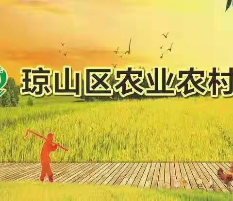 海口市琼山区动监所开展对规模养殖场、屠宰场动物防疫条件及运行情况专项检查