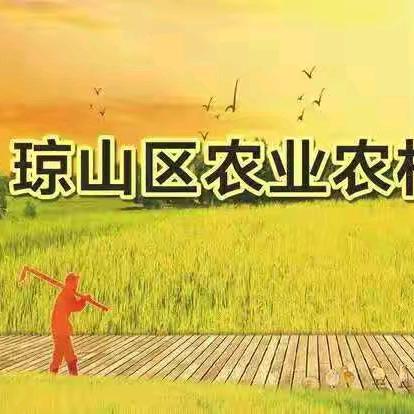 琼山区动物疫病预防控制中心扎实开展全区畜间“布鲁氏菌病”采样监测与科普宣传行动