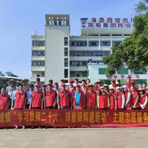 儋州市大成镇开展“学习贯彻二十大，琼崖银辉建新功”主题志愿服务活动