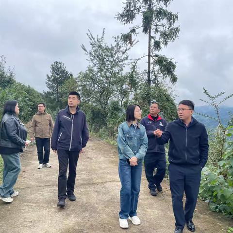 建筑新村街道赴重庆武隆区开展 东西部协作帮扶对接工作
