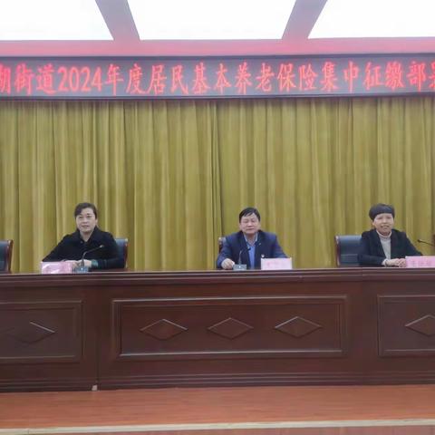 [水乡白云]白云湖街道召开2024年度居民基本养老保险集中征缴部署会