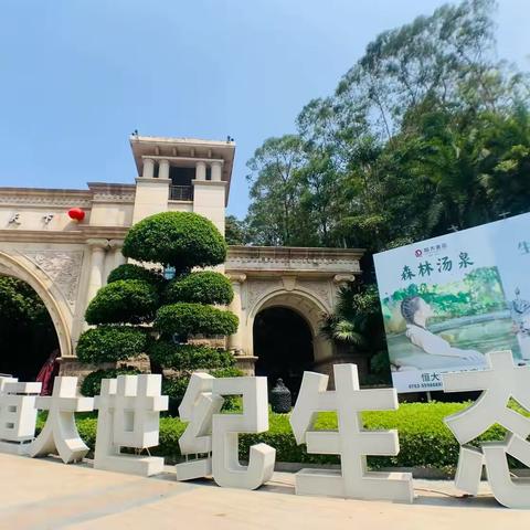 清远恒云顶小筑10房20床泡池别墅