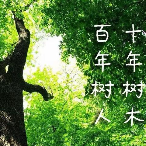 【全环境立德树人】“植”于心，“树”未来—滨城区玉龙湖小学五年级师生栽种毕业林