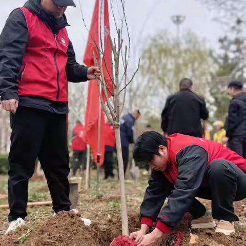 稷山公路志愿者积极参加植树节志愿服务活动