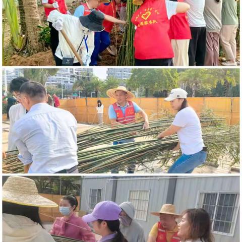 三亚市退役军人事务局到三亚湾社区开展植树活动