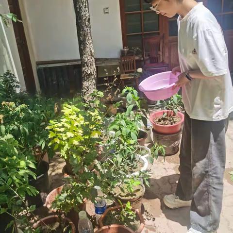 “躬耕农田，挥洒青春”——记菏泽一中高一.72班社会实践活动
