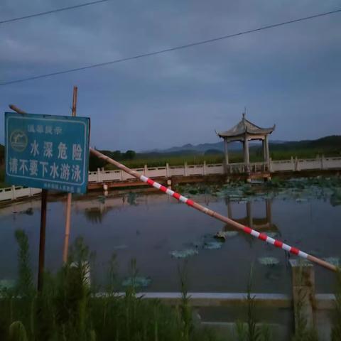 【杨桥殿镇下易村文明实践站】党建+防溺水知识宣传