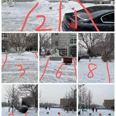 迎“寒”而上，闻“雪”而动—-实验中学劳动实践课《除雪》