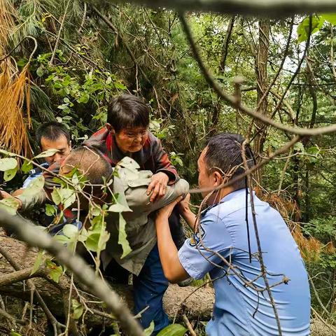 【夏季行动-37】七旬老人深山遇险  凤县公安全力救援