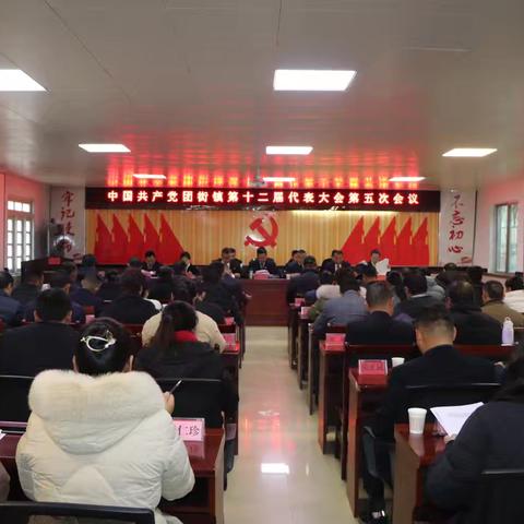 凝心聚力谋发展 踔厉奋发向未来--中国共产党团街镇第十二届代表大会第五次会议胜利召开