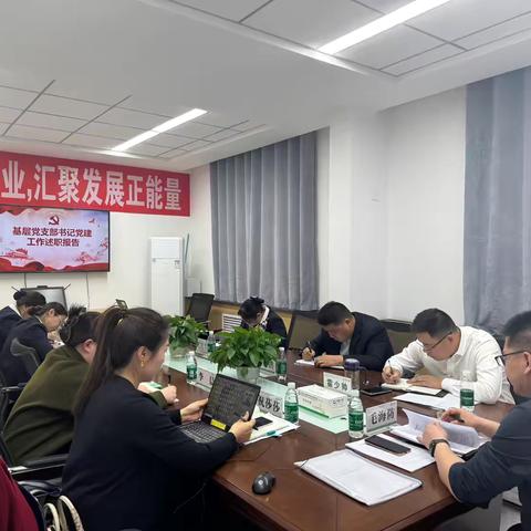 中国人寿麦盖提县支公司党支部2024年度组织生活会暨民主评议党员大会