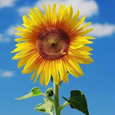 向往驿站工作动态