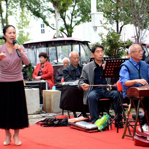 国庆节期间南阳金凤凰艺术团公益演出增添市民欢乐气氛花絮之一