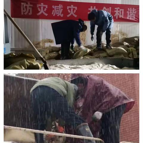 山东超星城市服务有限公司2023除雪工作志