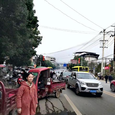 【彭灵菲】关于农村乡镇市场商贩工作情况的调查报告