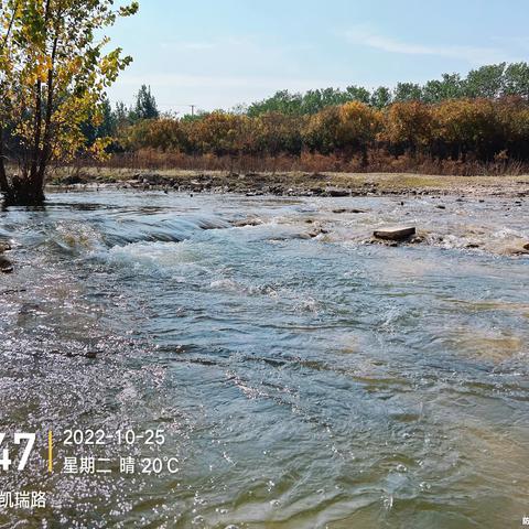 边走边拍の济南市·长清区·归德镇——第1段