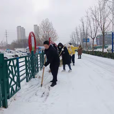 主题教育进行时—我为群众办实事    华龙区民政局 组织干部职工开展清扫积雪志愿服务活动