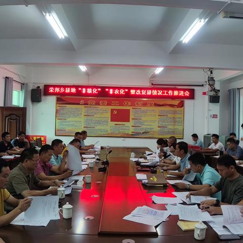 荣邦乡召开耕地“非粮化”“非农化”整改复耕情况推进会