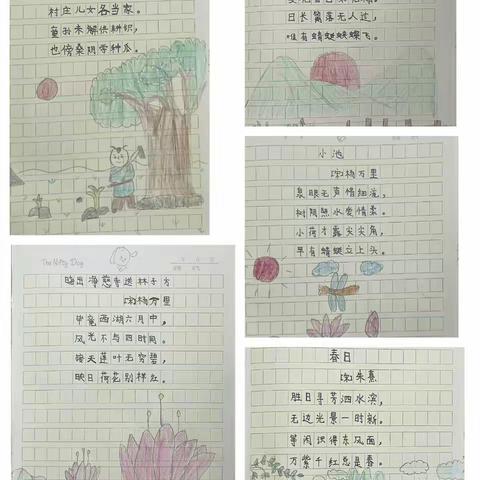 逐梦笃行 未来可期—— 三年级五班暑期语文作业展评（第二期）