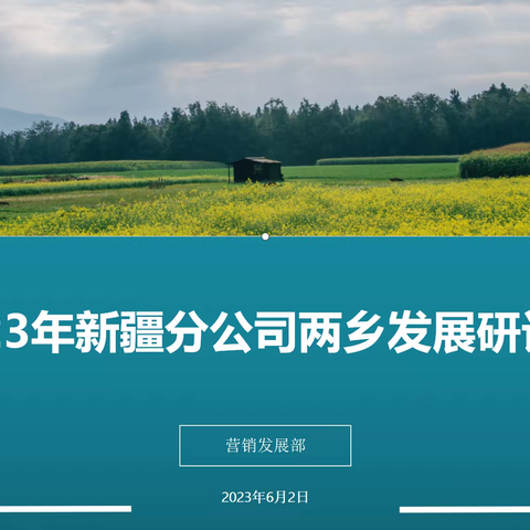 新疆分公司召开2023年新疆两乡发展研讨会