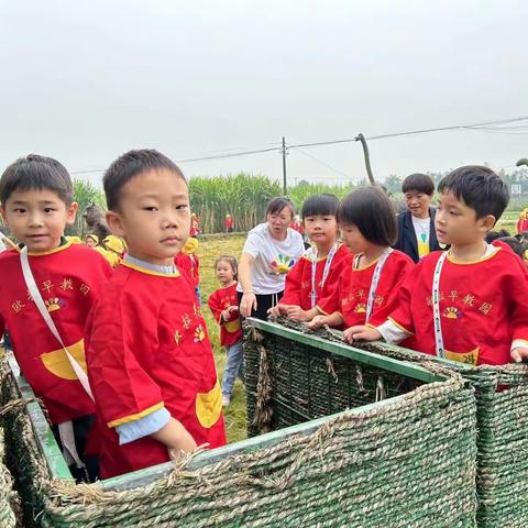 我们今天都是“蔗”孩儿