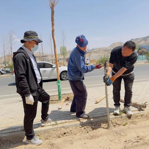 天正物业 | 共聚合力 为园区绿化增绿添彩