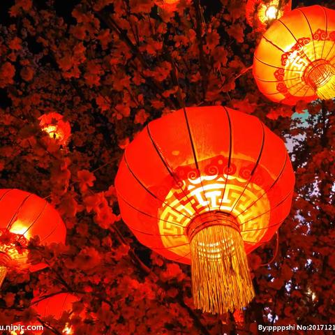 临沧中支机关第一党支部开展“学习会议精神 明确工作方向”主题党日活动