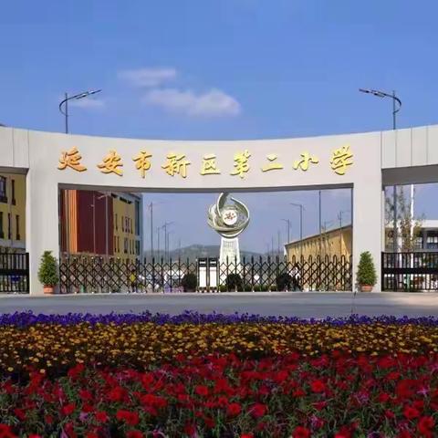 张馨怡  二小成长记