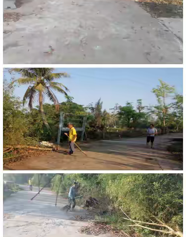 木棠镇二图村委会兰训墟戴宅村台风后进行开展农村人居环境整治工作