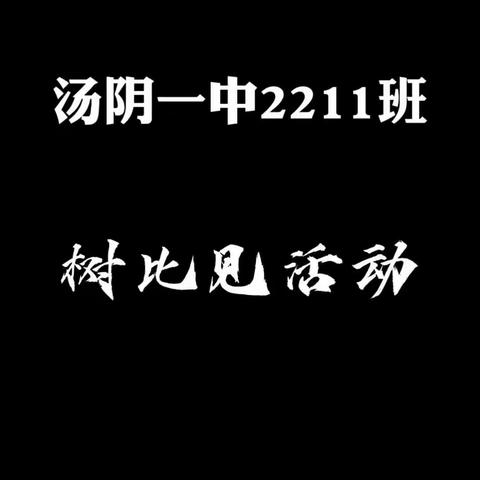 汤阴一中2211班“树目标、比壮志、见行动”活动