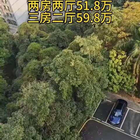 石岩这个小小的花园房里拍呀拍