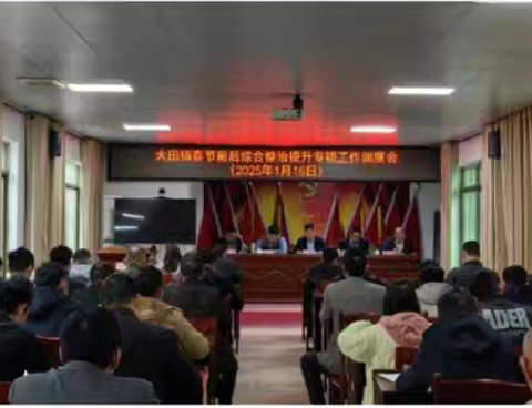 大田镇开展道路环境美化专项整治工作