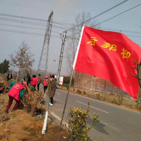 后郭柳村义务植树扮靓美丽乡村