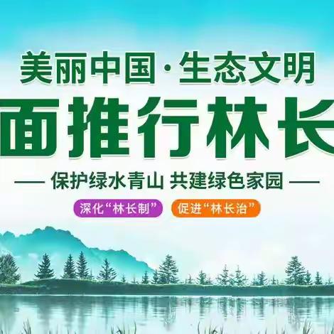 强化资源管理  守护绿色生态——古利库林场多举措加强森林资源保护管理工作