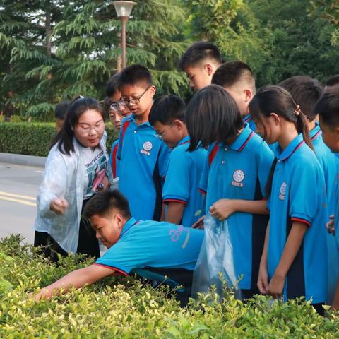 寻绿色之美 拓美好记忆  辉县市第一初级中学综合实践课程之校园游学与植物拓染篇