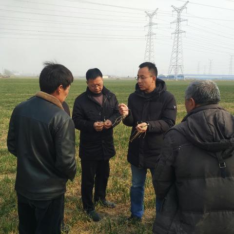 春管春耕正当时 农技培训促振兴