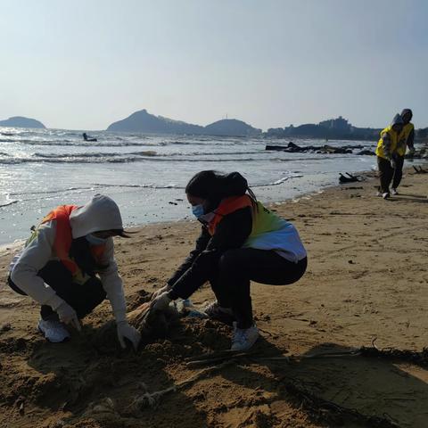 凤翔街道团工委组织开展“迎新春——还海滩一片洁净”志愿活动