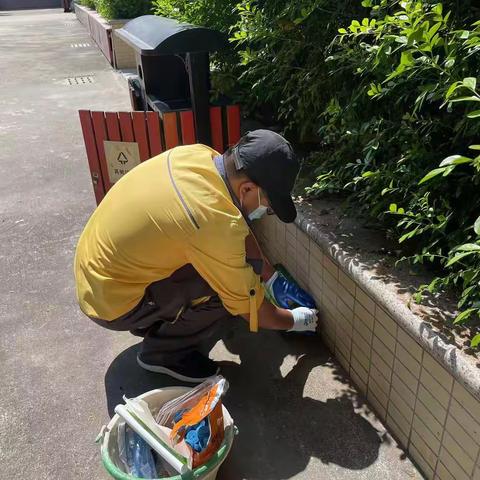 五仙社区开展夏季病媒生物防治“百日攻坚”专项行动