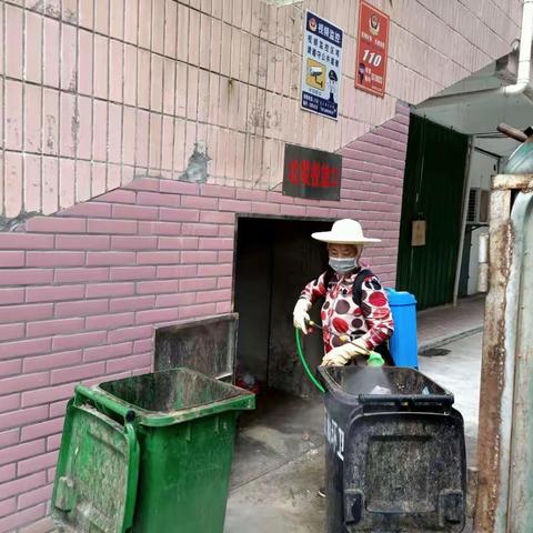 五仙社区开展灭蚊灭鼠爱国卫生专项运动