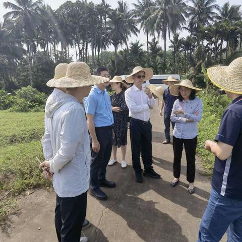 市人大常委会开展审计查出问题整改情况跟踪监督工作