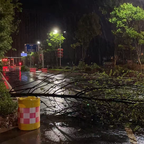 紧急!紧急!紧急!新城市政应对强风暴雨