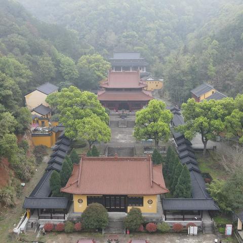 不负春光，游栖真寺！