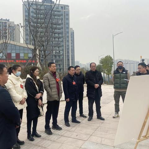 区人大木耳联系组代表开展会前集中视察活动