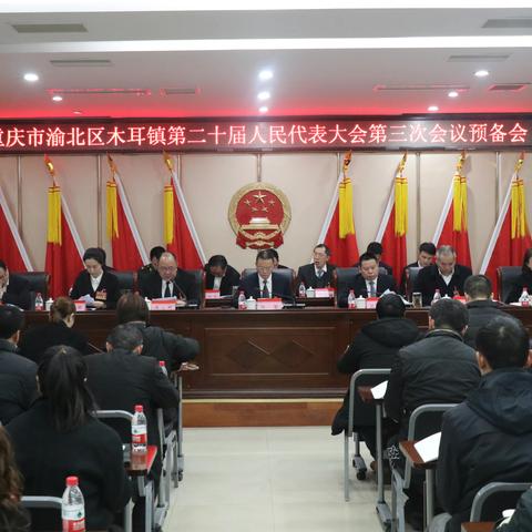 木耳镇第二十届人民代表大会第三次会议胜利召开