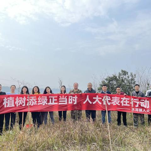 履职践诺美环境 人大代表植树忙