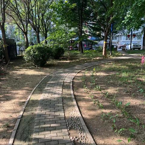 关于改建碧森里小区（西区）电动单车棚 的质疑和建议 ‍