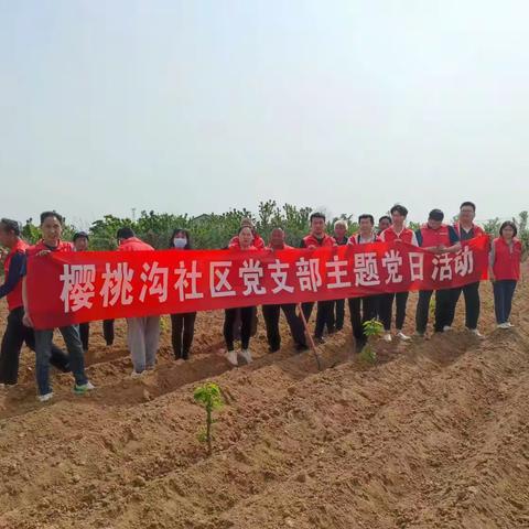 特色产业壮大集体经济