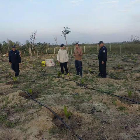 山梅村委会下界村牛偷吃矛盾调解