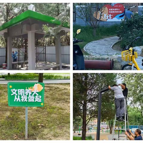 “一园一策”精准发力，精细化管理赋能公园品质提升