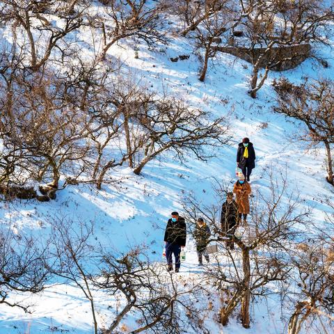 2023年元月，瑞雪兆丰年